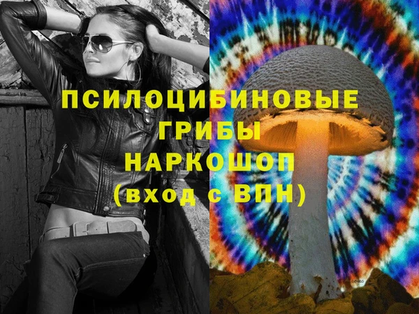 мдпв Семилуки
