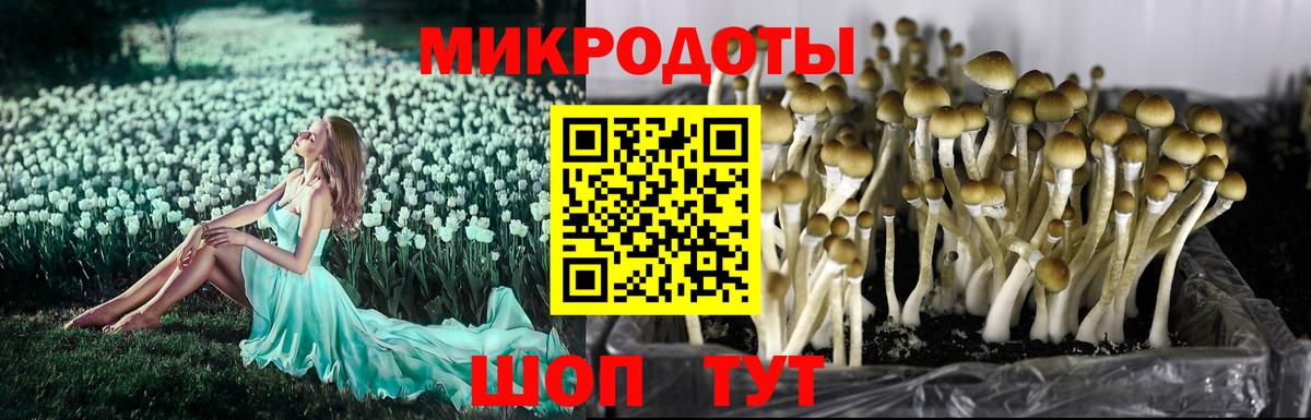 Псилоцибиновые грибы Psilocybine cubensis  Галлюциногенные грибы Psilocybine cubensis  Вход с VPN  Казань 